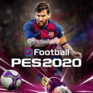 بيس 2020 للكمبيوتر