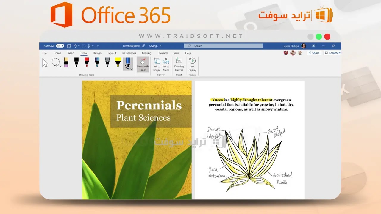 تحميل اوفيس 365 وورد كامل مع الكراك
